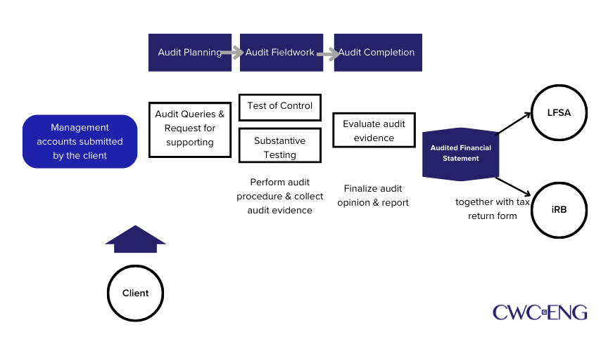 Audit framework